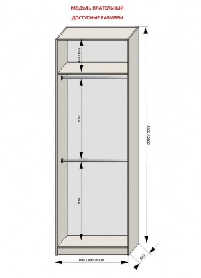 Шкаф распашной серия «ЗЕВС» (PL3/С1/PL2) в Карталах - kartaly.mebel24.online | фото 12