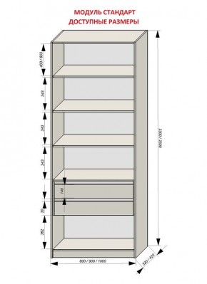 Шкаф распашной серия «ЗЕВС» (PL3/С1/PL2) в Карталах - kartaly.mebel24.online | фото 13