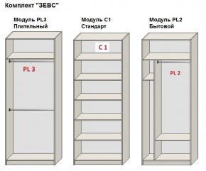 Шкаф распашной серия «ЗЕВС» (PL3/С1/PL2) в Карталах - kartaly.mebel24.online | фото 2