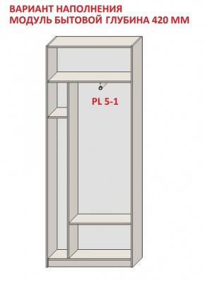 Шкаф распашной серия «ЗЕВС» (PL3/С1/PL2) в Карталах - kartaly.mebel24.online | фото 4