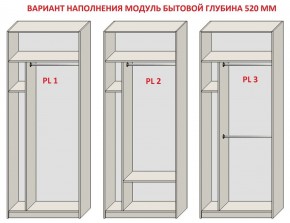 Шкаф распашной серия «ЗЕВС» (PL3/С1/PL2) в Карталах - kartaly.mebel24.online | фото 5