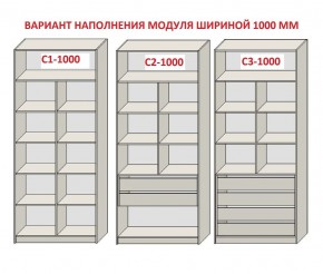 Шкаф распашной серия «ЗЕВС» (PL3/С1/PL2) в Карталах - kartaly.mebel24.online | фото 7