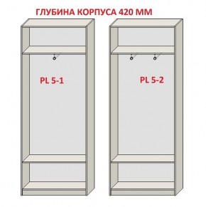 Шкаф распашной серия «ЗЕВС» (PL3/С1/PL2) в Карталах - kartaly.mebel24.online | фото 8