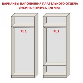 Шкаф распашной серия «ЗЕВС» (PL3/С1/PL2) в Карталах - kartaly.mebel24.online | фото 9