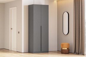 Шкаф ШК-5 + 2 полки (800) Графит серый в Карталах - kartaly.mebel24.online | фото 2