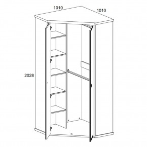 Шкаф угловой 2D, MAGELLAN, цвет Сосна винтаж в Карталах - kartaly.mebel24.online | фото 2