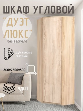 Шкаф угловой Дуэт Люкс без зеркала в Карталах - kartaly.mebel24.online | фото 5