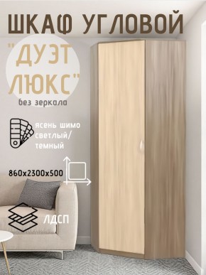Шкаф угловой Дуэт Люкс без зеркала в Карталах - kartaly.mebel24.online | фото 7