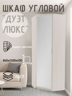 Шкаф угловой Дуэт Люкс с зеркалом в Карталах - kartaly.mebel24.online | фото 6