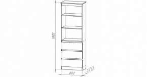 НИЦЦА-4 Стеллаж (НЦ.04) в Карталах - kartaly.mebel24.online | фото 3
