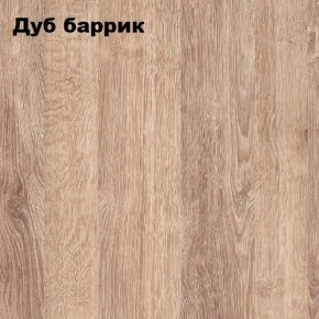ГРАФ Стеллаж (дуб баррик) в Карталах - kartaly.mebel24.online | фото 2