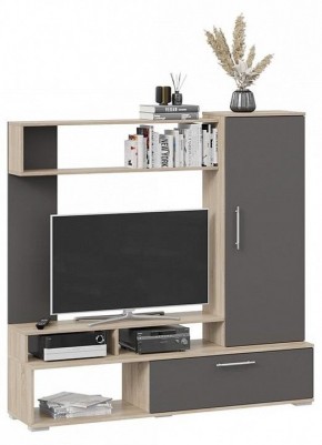 Стенка для гостиной Сиена в Карталах - kartaly.mebel24.online | фото 2