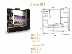 Стенка для гостиной ТВ-1 в Карталах - kartaly.mebel24.online | фото 2