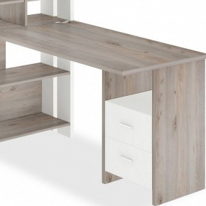 Стол компьютерный Домино Лайт СТЛ-ОВХ+С120Прям в Карталах - kartaly.mebel24.online | фото 2