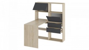 Стол компьютерный Тип 7 в Карталах - kartaly.mebel24.online | фото 2