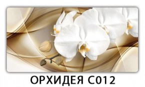 Стол раздвижной Трилогия с фотопечатью Доска D111 в Карталах - kartaly.mebel24.online | фото 13