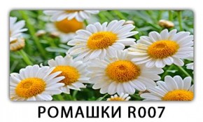 Стол раздвижной Трилогия с фотопечатью Доска D111 в Карталах - kartaly.mebel24.online | фото 15