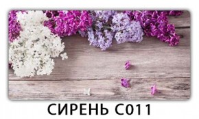 Стол раздвижной Трилогия с фотопечатью Доска D111 в Карталах - kartaly.mebel24.online | фото 16