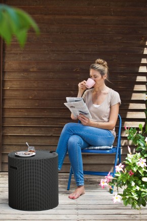 Столик-холодильник Кул-Стул (Cool stool) графит в Карталах - kartaly.mebel24.online | фото 1