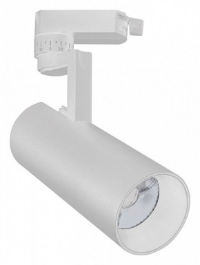 Светильник на штанге Escada 20029 20029TRA/02LED SWH в Карталах - kartaly.mebel24.online | фото