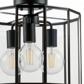 Светильник на штанге Lightstar Genni 798237 в Карталах - kartaly.mebel24.online | фото 4