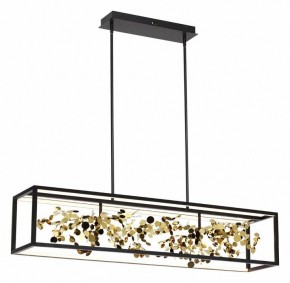 Светильник на штанге Odeon Light Bild 5065/65L в Карталах - kartaly.mebel24.online | фото 3