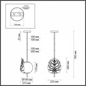 Светильник на штанге Odeon Light Jungle 4865/1 в Карталах - kartaly.mebel24.online | фото 3