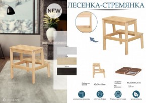 Табурет Стремянка в Карталах - kartaly.mebel24.online | фото 3