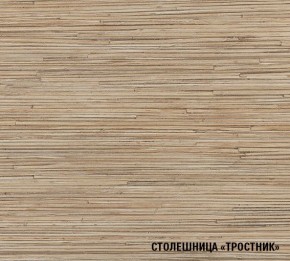 ТОМИЛЛА Кухонный гарнитур Оптима 5 (2700*1600 мм ) в Карталах - kartaly.mebel24.online | фото 6