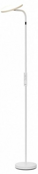 Торшер Citilux SOLO CL804060 в Карталах - kartaly.mebel24.online | фото