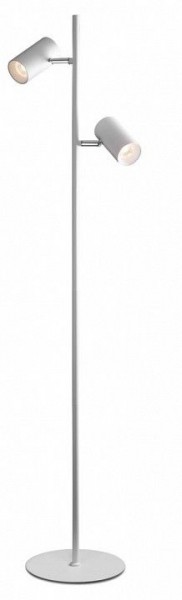 Торшер Citilux Twin CL809010N в Карталах - kartaly.mebel24.online | фото