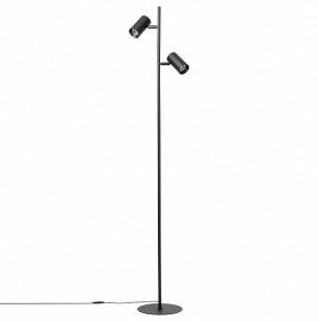 Торшер Citilux Twin CL809011N в Карталах - kartaly.mebel24.online | фото