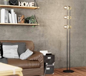 Торшер Eglo ПРОМО Chieveley 43544 в Карталах - kartaly.mebel24.online | фото 2
