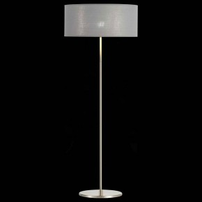 Торшер EVOLUCE Brescia SLE300515-01 в Карталах - kartaly.mebel24.online | фото 3