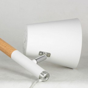Торшер Lussole Buckeye LSP-0628 в Карталах - kartaly.mebel24.online | фото 4