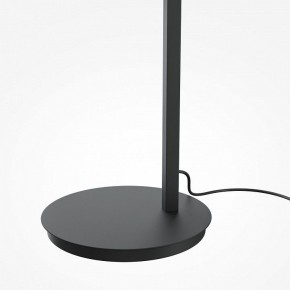 Торшер Maytoni Emphaty MOD363FL-L14B3K в Карталах - kartaly.mebel24.online | фото 5