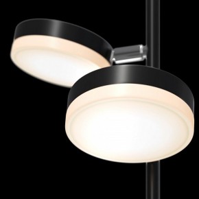 Торшер Maytoni Fad MOD070FL-L12B3K в Карталах - kartaly.mebel24.online | фото