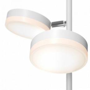 Торшер Maytoni Fad MOD070FL-L12W3K в Карталах - kartaly.mebel24.online | фото 4