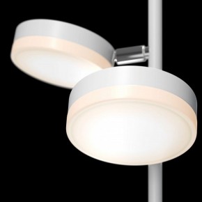 Торшер Maytoni Fad MOD070FL-L12W3K в Карталах - kartaly.mebel24.online | фото 5