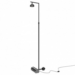 Торшер Maytoni Pikant MOD372FL-L10B3K в Карталах - kartaly.mebel24.online | фото