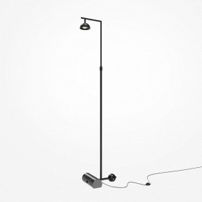 Торшер Maytoni Pikant MOD372FL-L10B3K в Карталах - kartaly.mebel24.online | фото 2