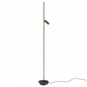 Торшер Maytoni Thin MOD395FL-L28B3K в Карталах - kartaly.mebel24.online | фото