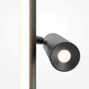Торшер Maytoni Thin MOD395FL-L28B3K в Карталах - kartaly.mebel24.online | фото 6