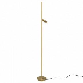 Торшер Maytoni Thin MOD395FL-L28BS3K в Карталах - kartaly.mebel24.online | фото