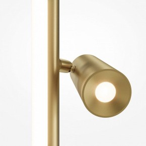 Торшер Maytoni Thin MOD395FL-L28BS3K в Карталах - kartaly.mebel24.online | фото 5