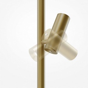 Торшер Maytoni Thin MOD395FL-L28BS3K в Карталах - kartaly.mebel24.online | фото 6