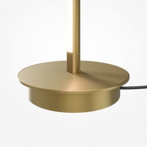 Торшер Maytoni Thin MOD395FL-L28BS3K в Карталах - kartaly.mebel24.online | фото 7