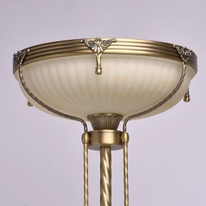 Торшер MW-Light Афродита 1 317040901 в Карталах - kartaly.mebel24.online | фото 3