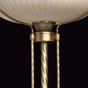 Торшер MW-Light Афродита 1 317040901 в Карталах - kartaly.mebel24.online | фото 6