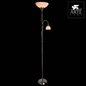 Торшер с подсветкой Arte Lamp Duetto A9569PN-2SS в Карталах - kartaly.mebel24.online | фото 3